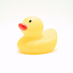 The Rubber Duck