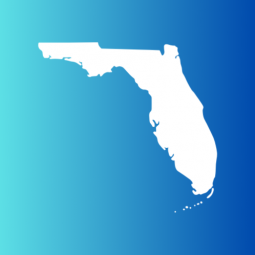 FL Real Estate Guide