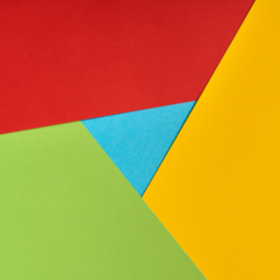 Chrome Plugin Developer