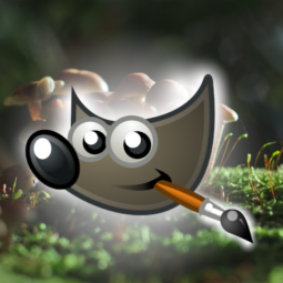 GIMP 2.10 Image Assistant