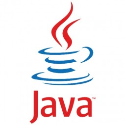 Java Guru