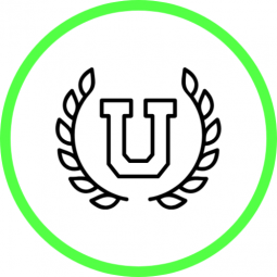 Best universities ranked