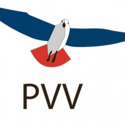 PVV AI