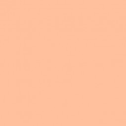 🔍 网页搜索小助理