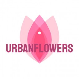 Article Writing Assistant