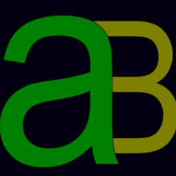 Aniket’s work experience