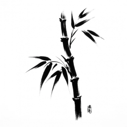 foreign-language-assistant-Chinese_v1.4