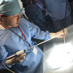 AI Assistant for Resume and Cover Letter