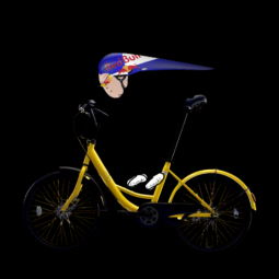 Auto Cycling Encyclopedia