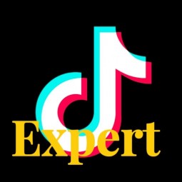 TikTok Expert