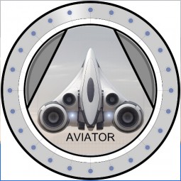 CFO of Aviator Inc