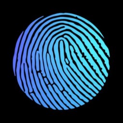 Service Dominant Logician