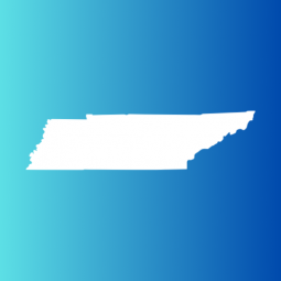 TN Real Estate Guide