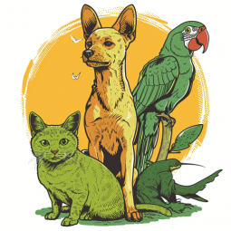 Pet Pal 🐱🐶 – Cat & Dog Care Expertise