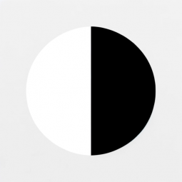 Silhouette Generator