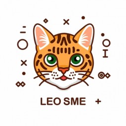 Leo SME