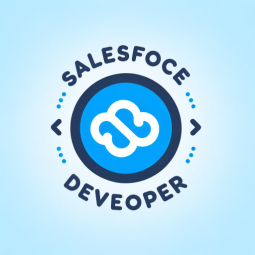 Salesforce Developer