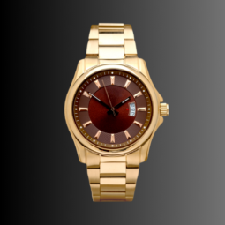 Luxury Watch Advisor