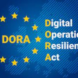 ADORABLE DORA with DNB Good Practice Perspective