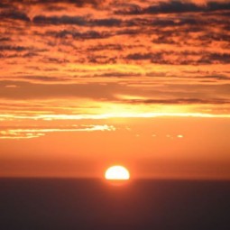 Jacky – Business Assistant