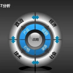 PEST – 行业分析师模型