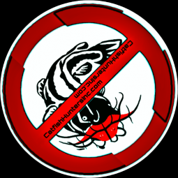 TheCatfishHunter: Your Guardian in a Digital Age